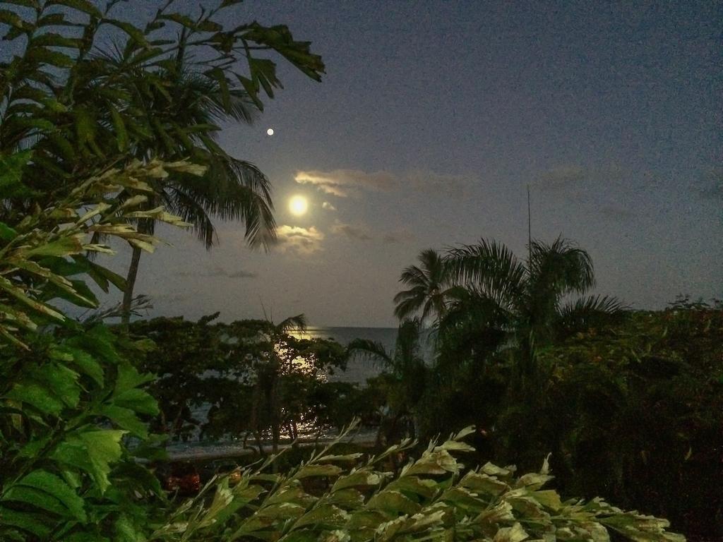 Roydon Beachfront Apartments Trinity Beach Buitenkant foto